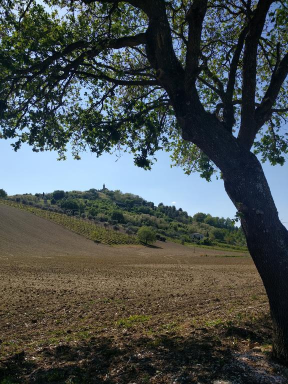 Casa Ghibellina Lägenhet Castelbellino Exteriör bild